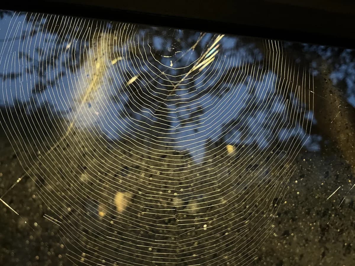 AI Visibility Is a Layered Problem