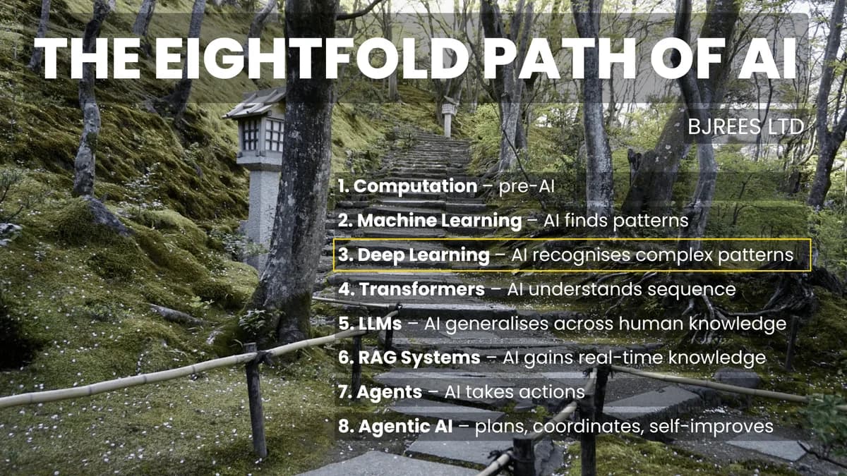 Step 3: Deep Learning and Representation