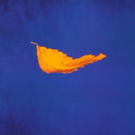 Write Content That People Actually Want to Read