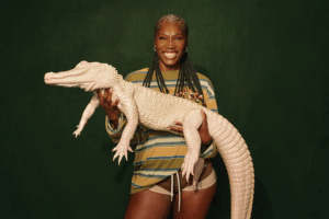 The “Crocodile Effect” – What Falling SEO Clicks Mean in the Age of AI Overviews